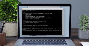 Laptop screen shot of DAAC2Disk Script.