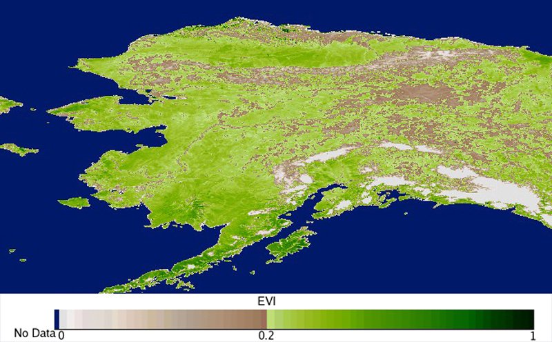 MOD13C2 image of EVI values for Alaska from September 2010.