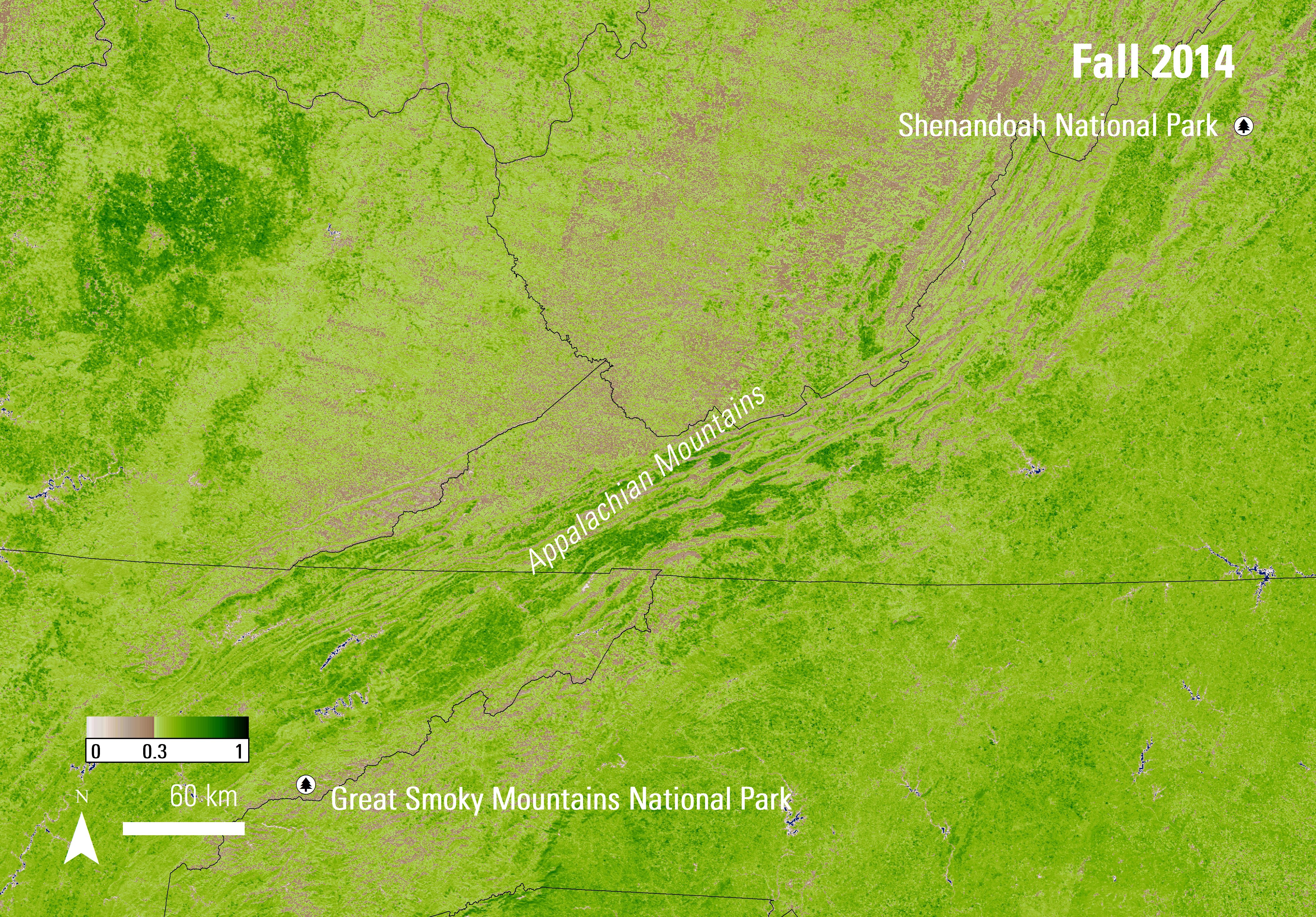 MODIS 250-meter EVI image from fall (November 1 - 16, 2014) over the Appalachian Mountains.