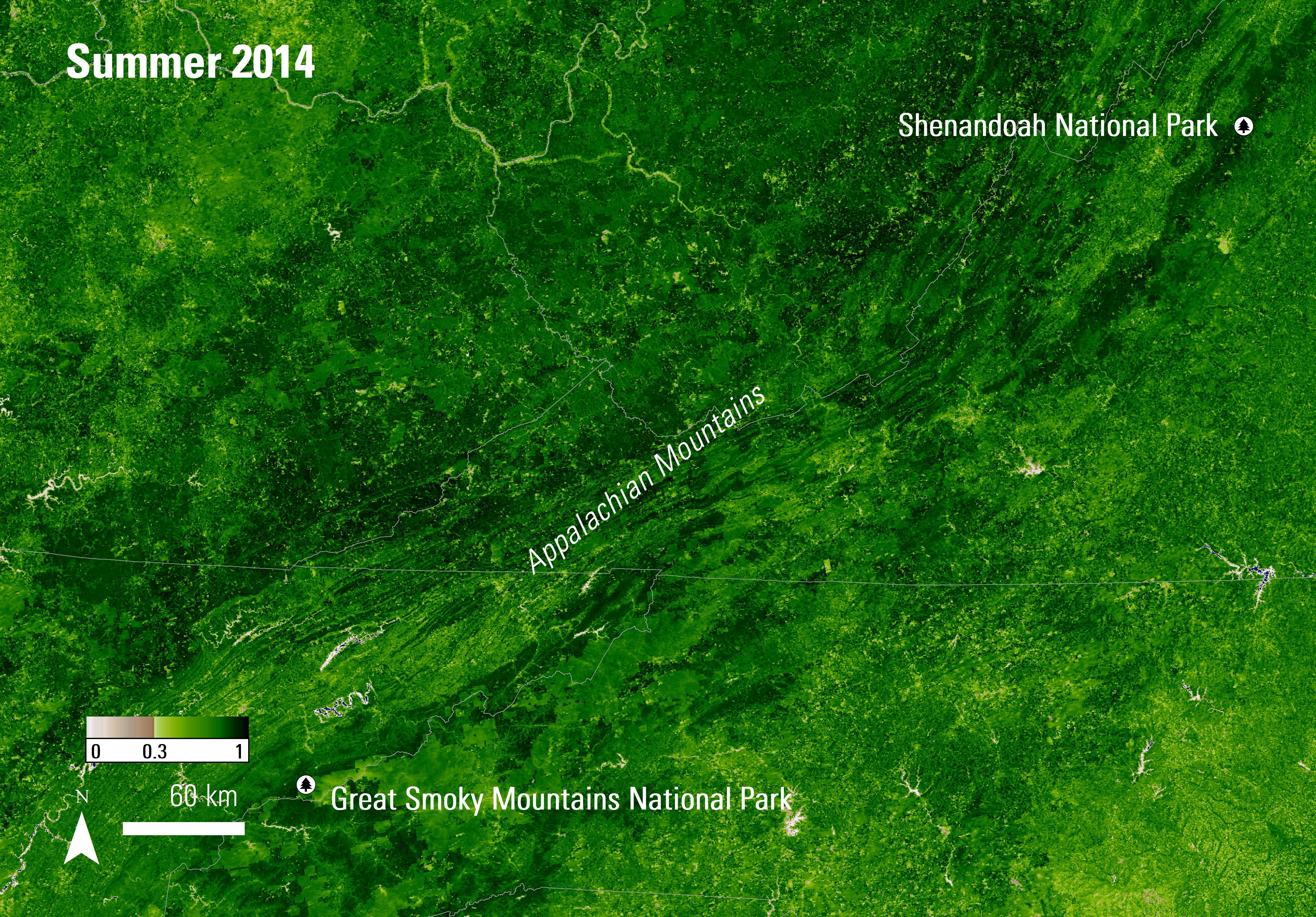MODIS 250-meter EVI image from summer (June 18 - July 3, 2014) over the Appalachian Mountains.