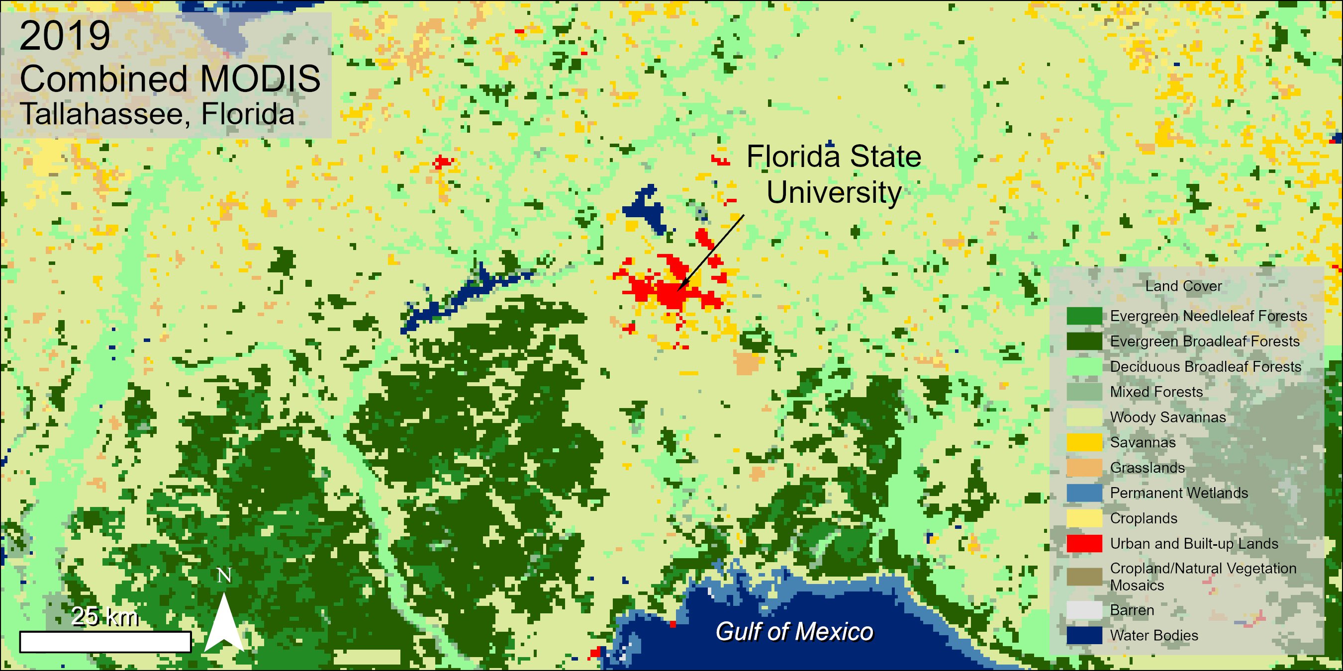 Combined MODIS land cover data over Tallahassee, Florida.