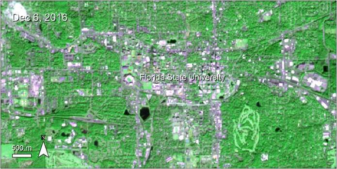 Terra ASTER imagery over Tallahassee, Florida, United States and the college campus of Florida State University.