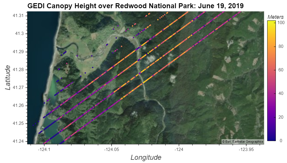 "GEDI Canopy Height over Redwood National Park: June 19, 2019."