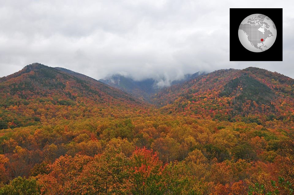 October 31, 2014. Fall in Great Smoky Mountains National Park. This photo was taken from the Carlos Campbell Overlook on Newfound Gap Road (photo by NPS).