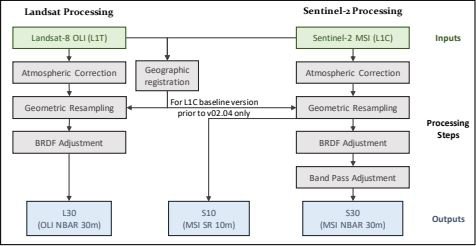 Chart depicting the HLS processing schema.