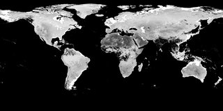 Combined MODIS BRDF Albedo black sky albedo band 6 data from the MCD43D47 product across the globe, August 10, 2020.