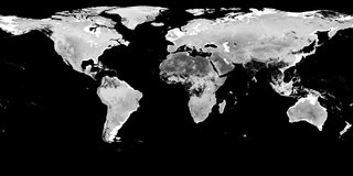 Combined MODIS BRDF Albedo white sky albedo band 6 data from the MCD43D57 product across the globe, August 10, 2020.