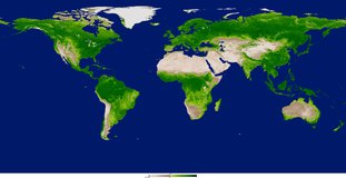 Terra MODIS NDVI data across the globe.