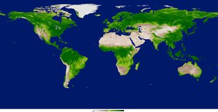 Aqua MODIS NDVI data across the globe.