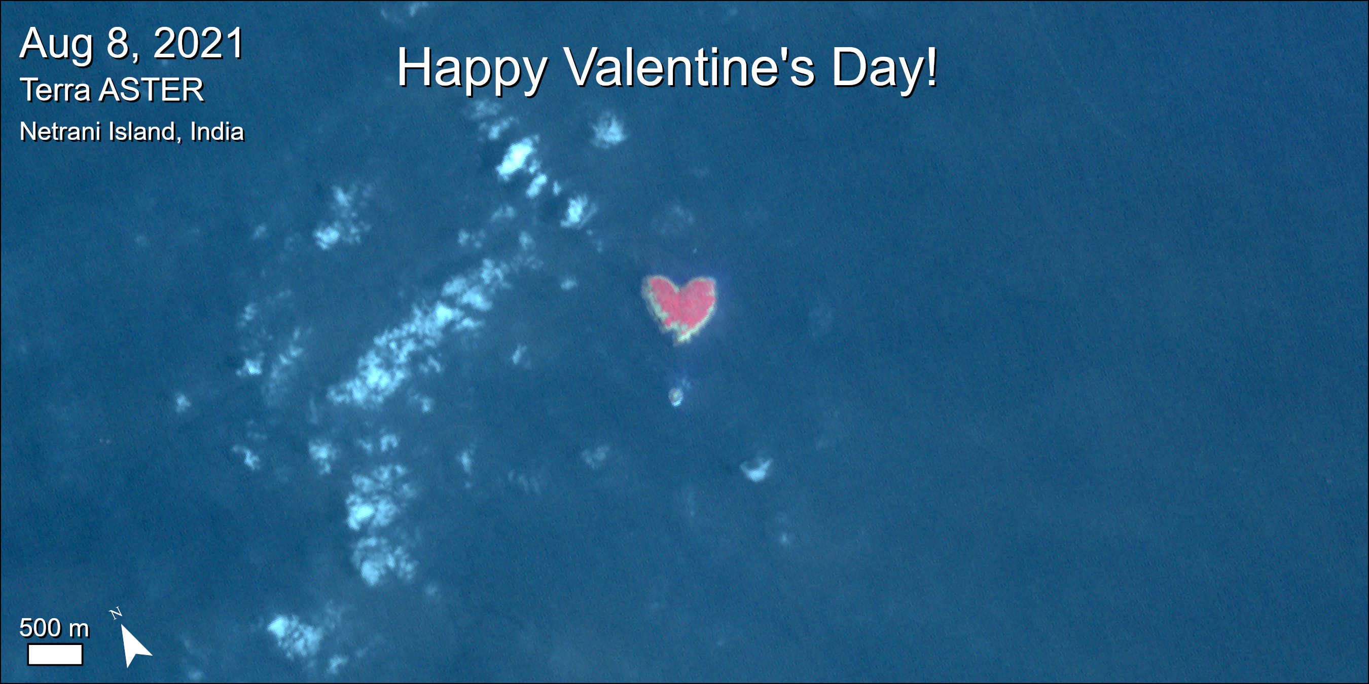 A heart shaped island, text on screen reads Aug 8, 2021 Terra ASTER Netrani Island, India, 500 meter scale bar, north arrow, Happy Valentine's Day!