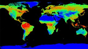 Global view of Percent Tree Cover.