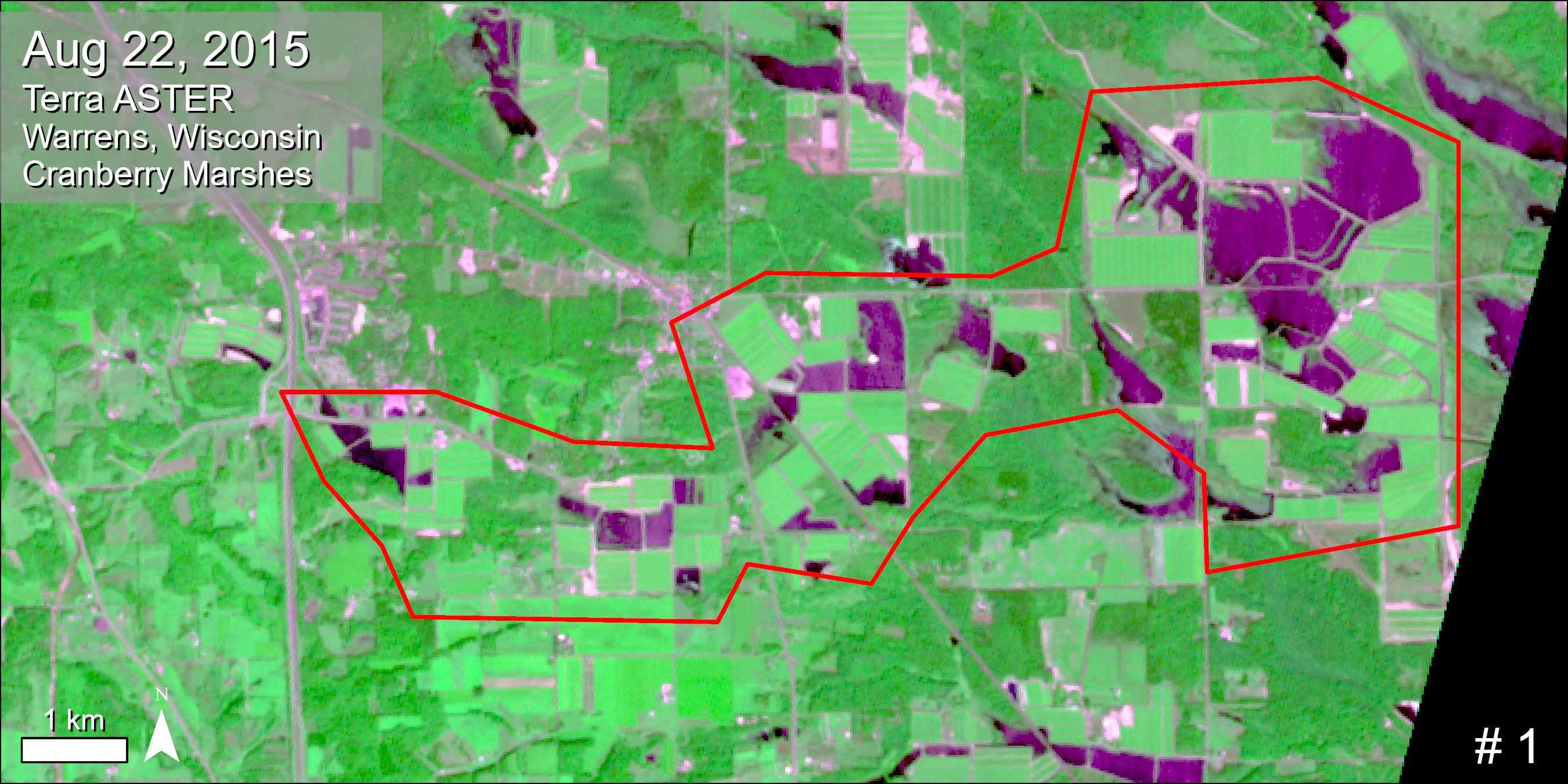Terra ASTER imagery over cranberry marshes in Wisconsin.