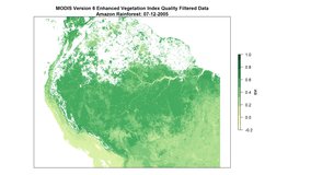 EVI data over the Amazon Rainforest.