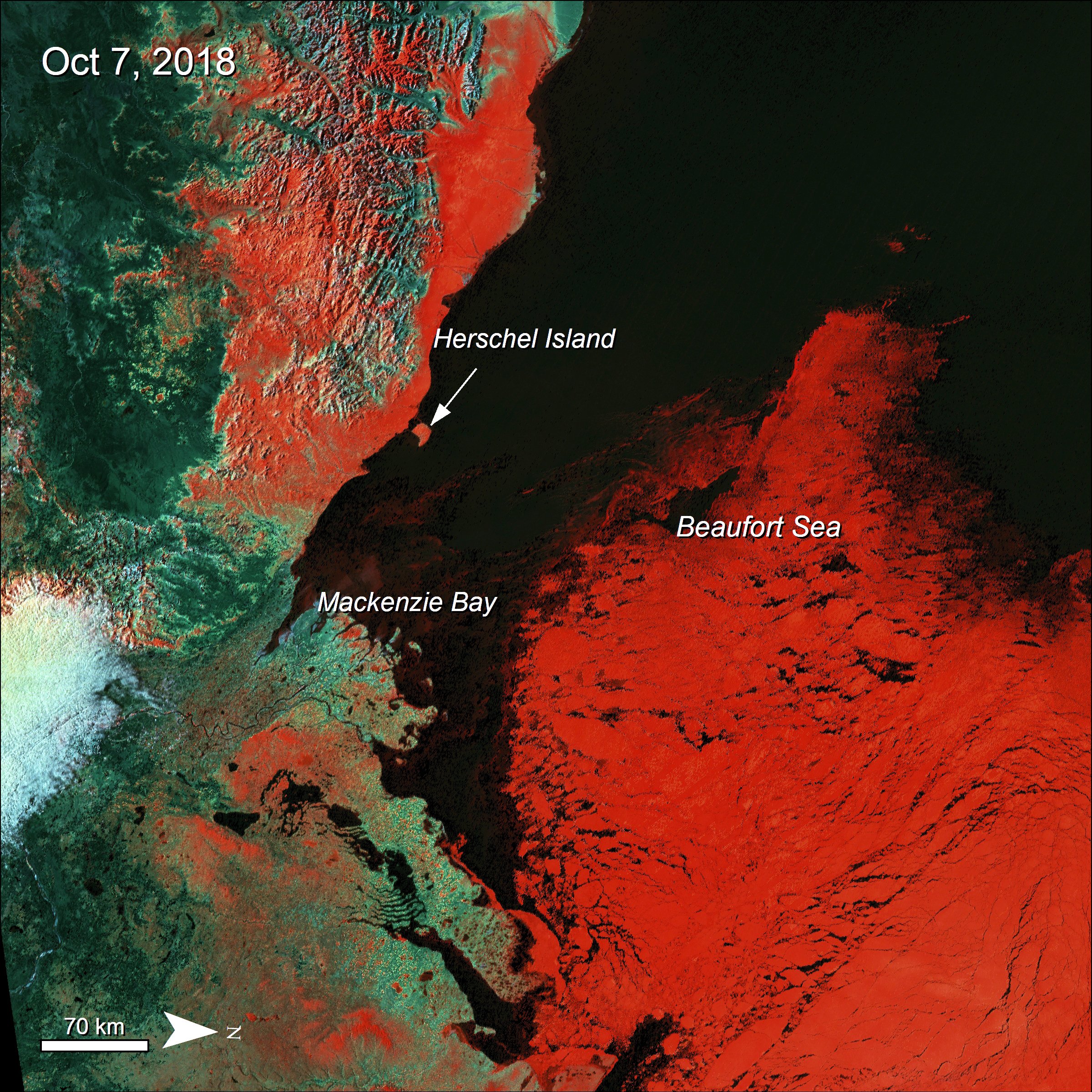 Terra MODIS Surface Reflectance data over the Beaufort Sea, Canada showing sea ice in red.