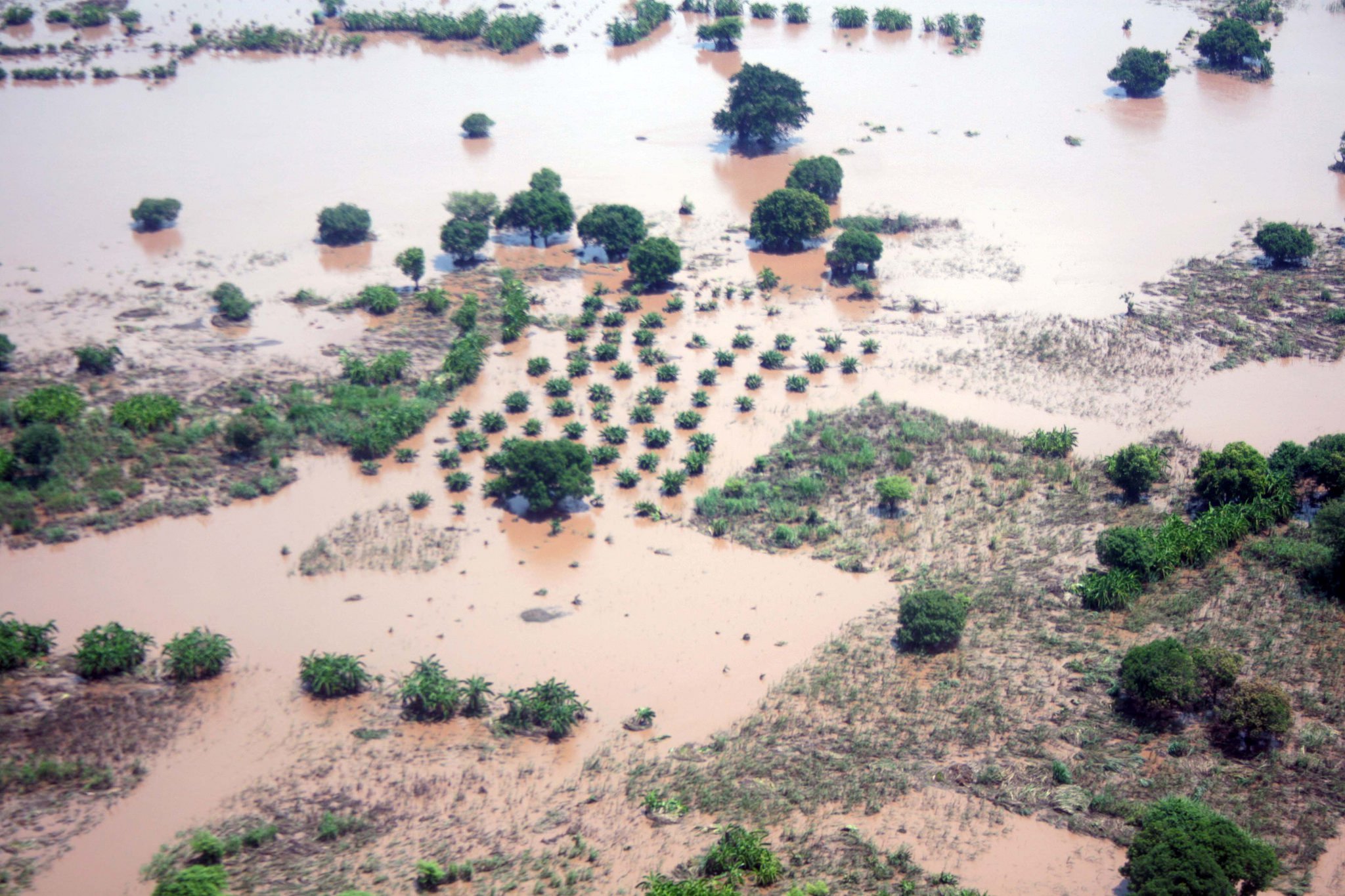 Submerged crops in Flood Waters of the Lower Shire River, taken January 16, 2015.