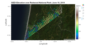 GEDI Elevation over Redwood National Park: June 19, 2019