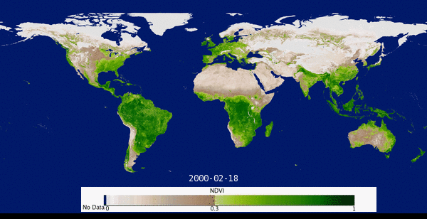 MODIS Vegetation Index Animation over the Earth.