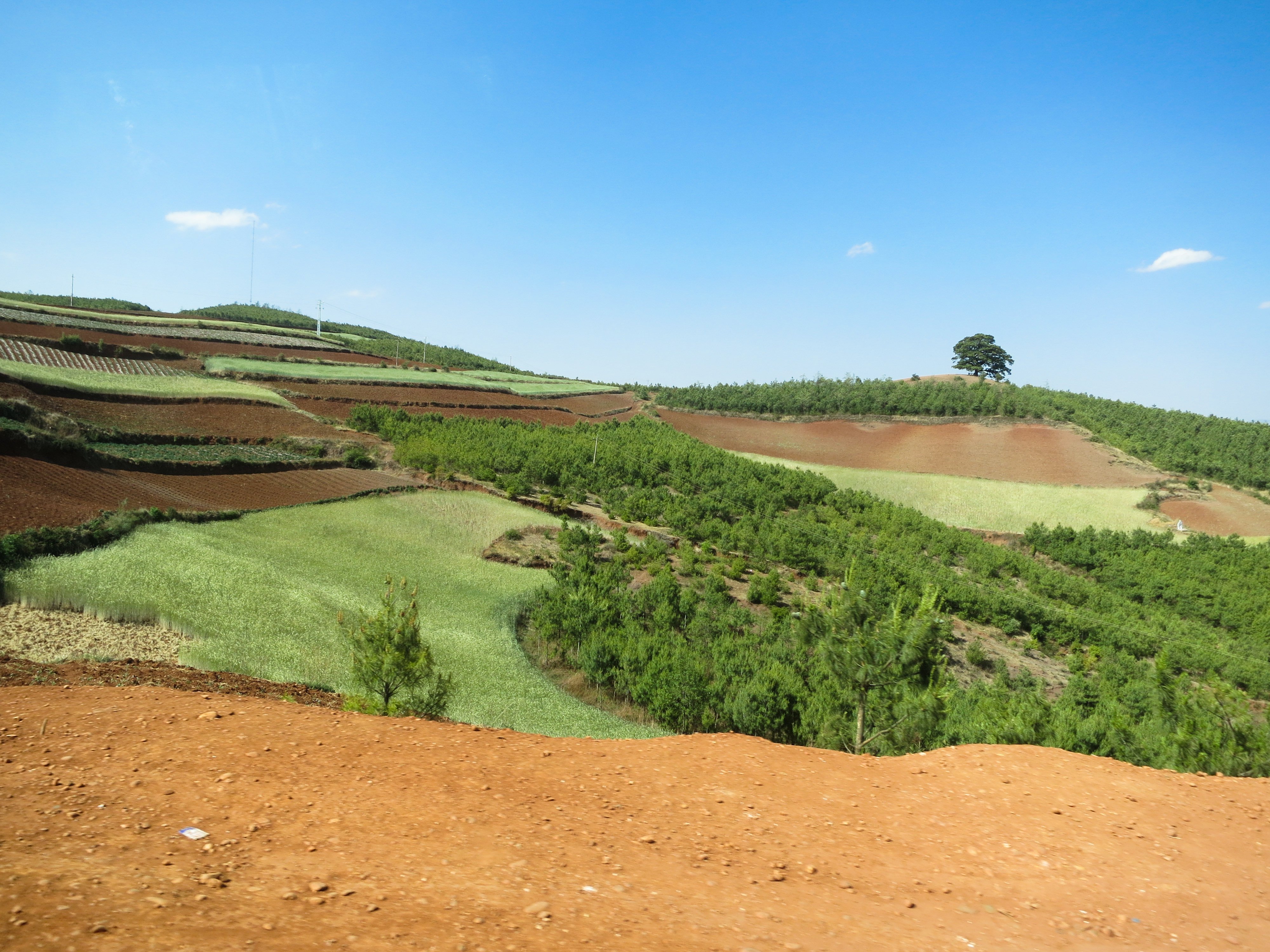 Example of reforestation, or afforestation, as a result of the Conversion of Cropland to Forest Program in southern China.