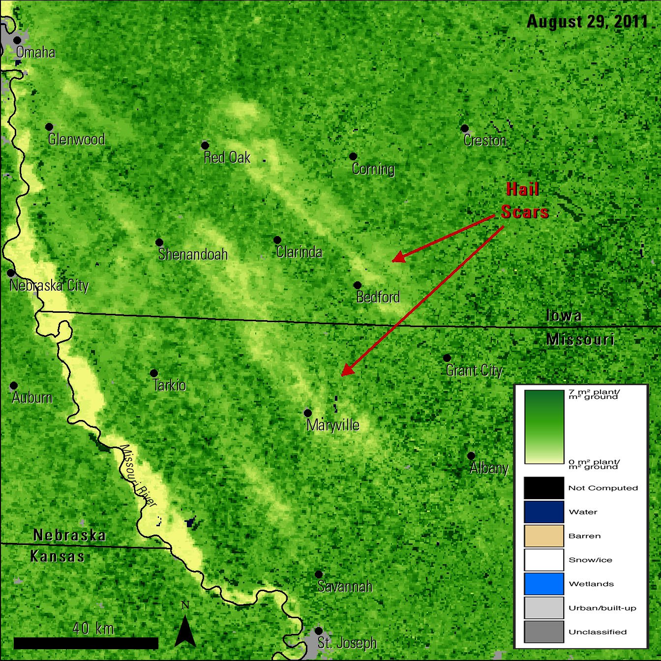 Terra and Aqua Combined MODIS LAI data, acquired on August 29, 2011.